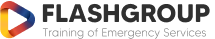 Flashgroup Logo